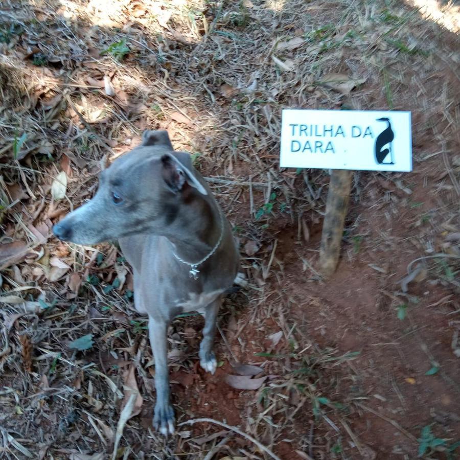 Casa Do Galgo Lejlighed São Bento do Sapucaí Eksteriør billede